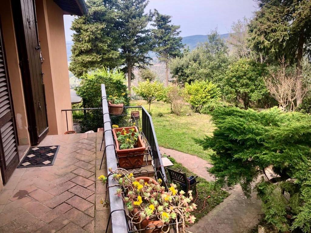 La Villa Del Borgo Massa Marittima Exterior photo